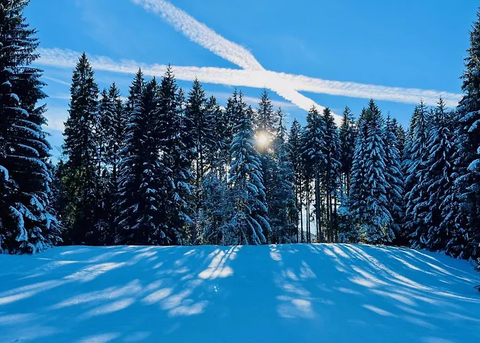 Bergfreund Immenstadt im Allgaeu