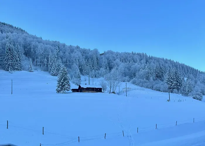 Bergfreund * Immenstadt im Allgaeu