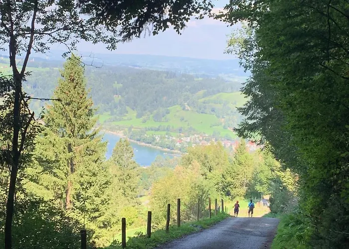 Bergfreund