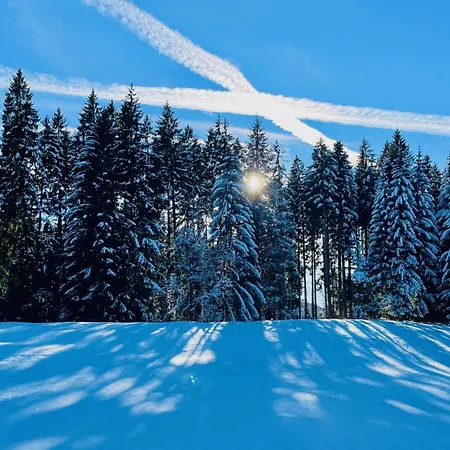 Bergfreund Immenstadt im Allgäu