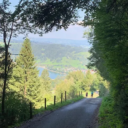 Bergfreund
