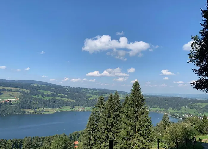 Bergfreund